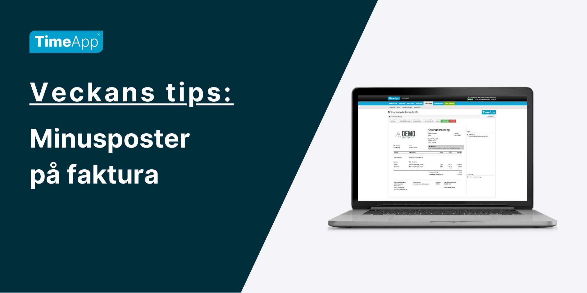 Minusposter på faktura
